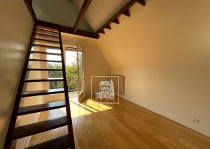 maison 8 pièces en location sur BOUGIVAL (78380)