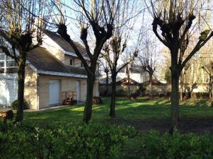 house 6 rooms for rent on LE VESINET (78110)