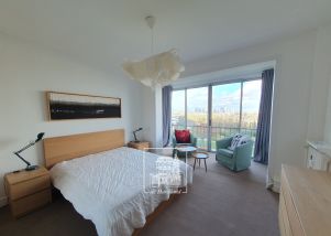 apartment 7 rooms for rent on ST CLOUD (92210)