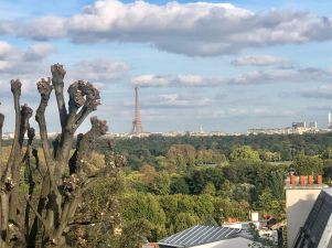 appartement 3 pièces en location sur ST CLOUD (92210)