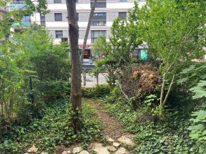 appartement 1 pièce en location sur ST CLOUD (92210)