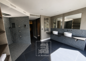 maison 10 pièces en location sur BOUGIVAL (78380)